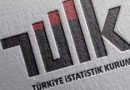 Türkiye İstatistik Kurumu Uzman Yardımcısı Alım İlanı